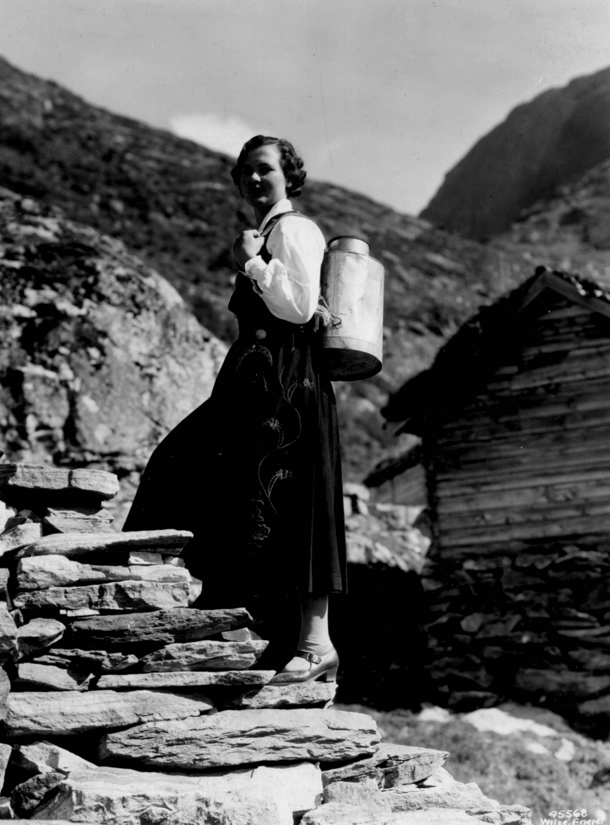 Anders Beer Wilse, Kvinnedrakt, , More og Romsdal. Sunnmørsbunad