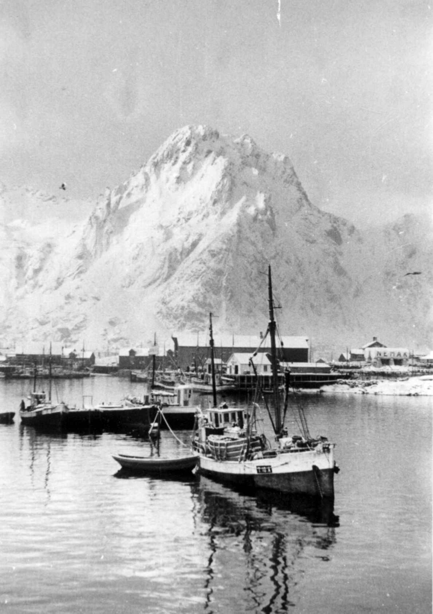 Anders Beer Wilse, Lofotfiske
