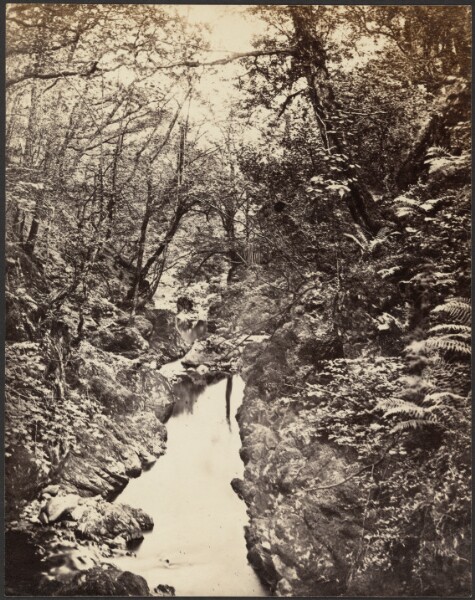 Unknown, [Wooded Landscape with Stream]