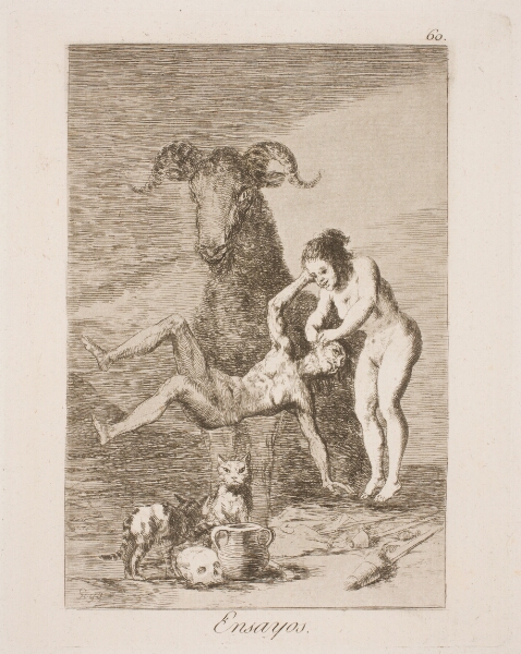 Francisco de Goya, Forsøg