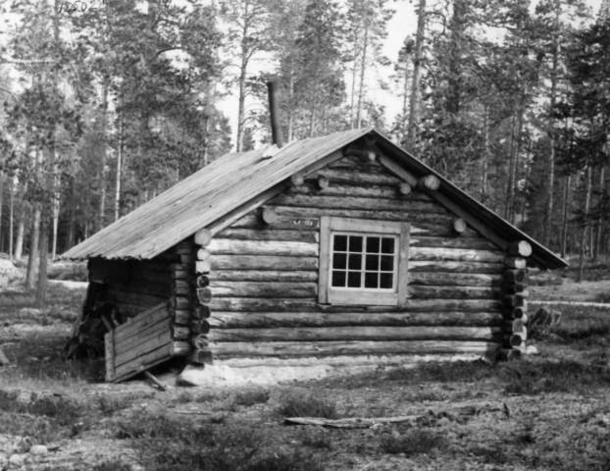 Anders Beer Wilse, -8003