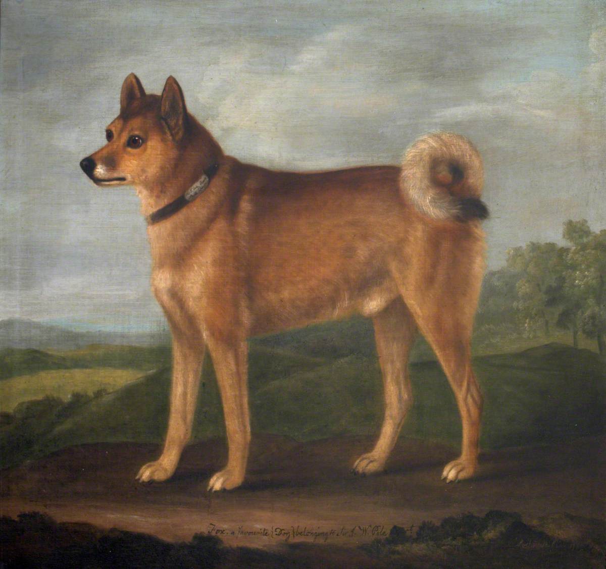 Francis Sartorius, 'Fox', a Favourite Dog of Sir John William Pole, 6th Bt (1757 - 1799)
