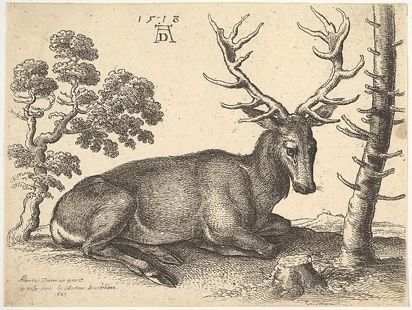 Wenceslaus Hollar, Stag lying to right