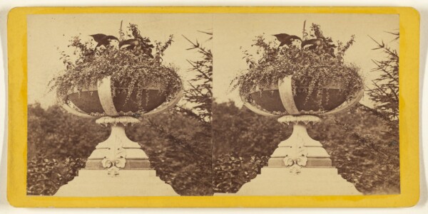 Edward and Henry T. Anthony & Co., Central Park. (New York.) Vase of Flowers on the Rustic Bridge.