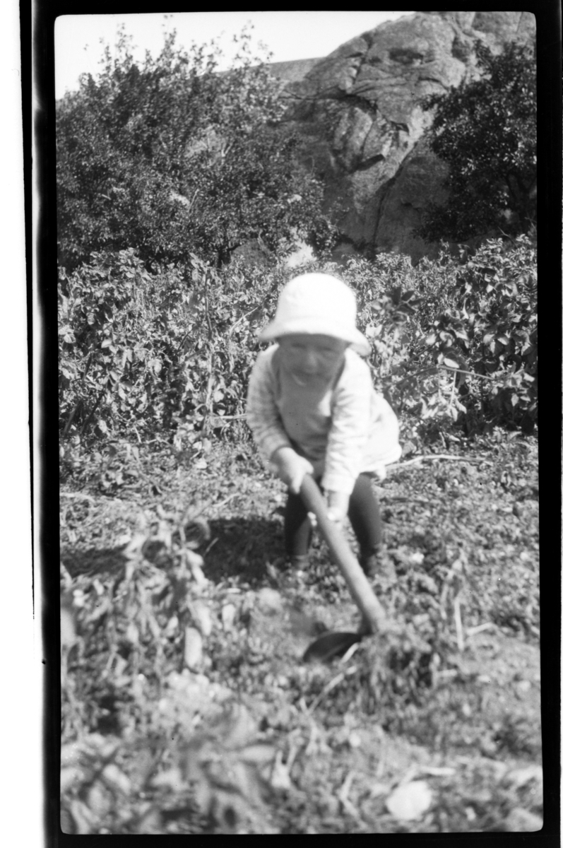 Rolf Sr. Sundt, NF.34664-539