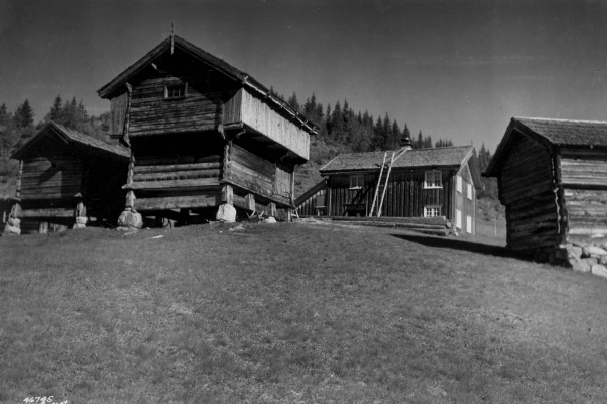 Anders Beer Wilse, Bebyggelse, Hoydalsmo