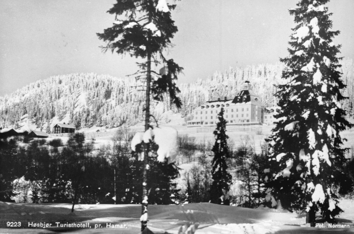 Anno Domkirkeodden, Eksteriør, Høsbjør turisthotell, Furnes, vinter.