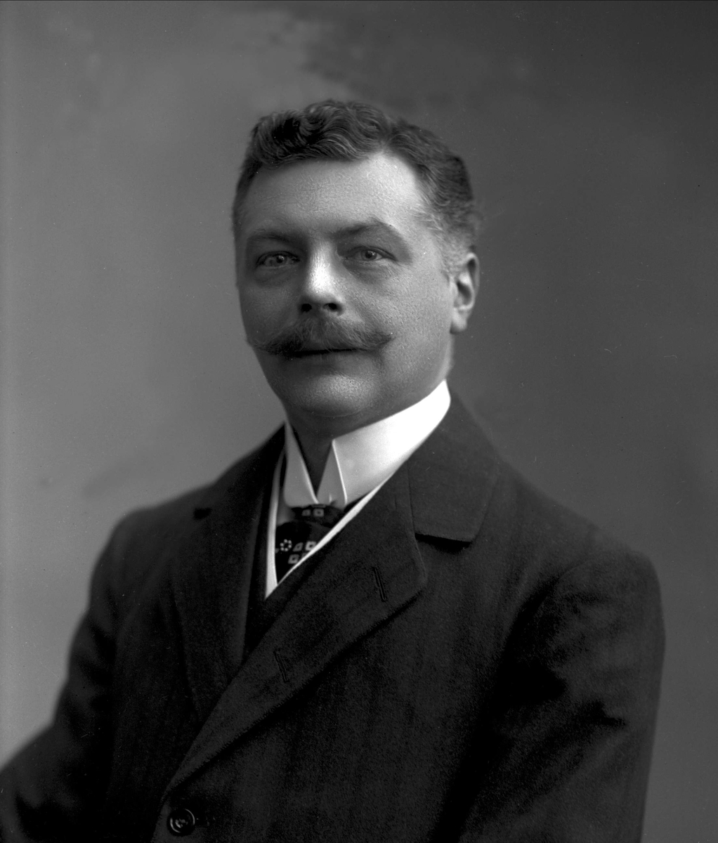 Gustav Borgen, Portrett, Nils Westergaard (1881-?).