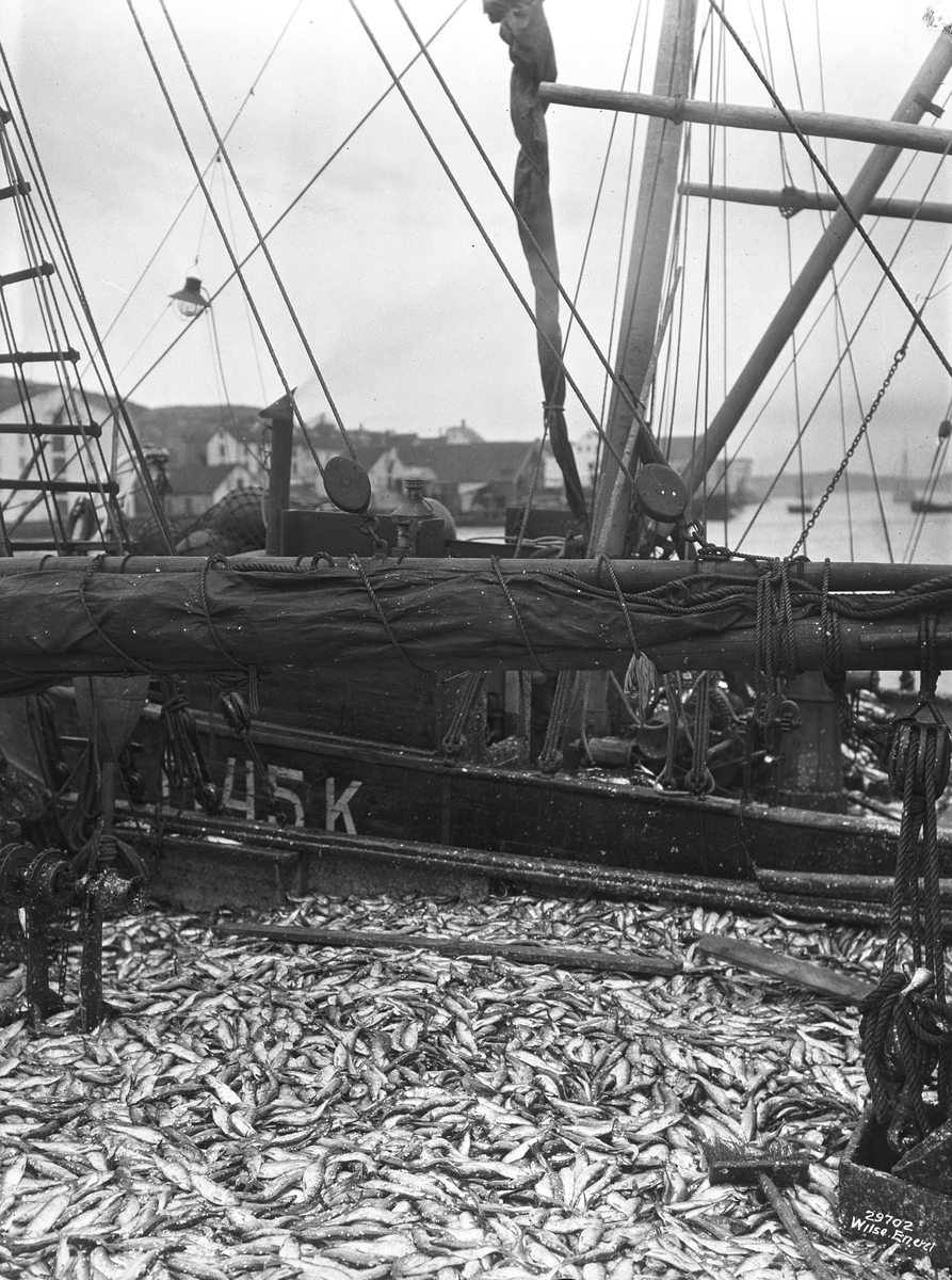 Anders Beer Wilse, Prot: Kristiansund, sildlast