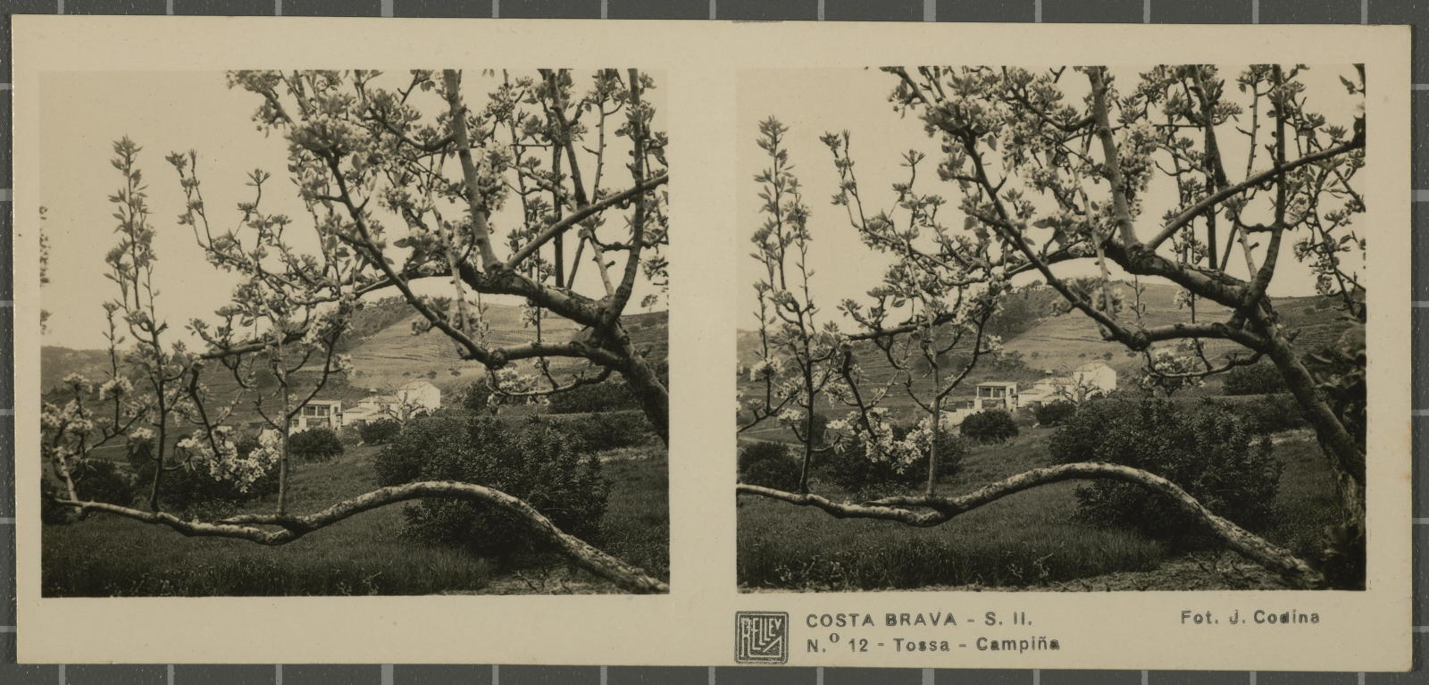 Desconegut, Costa Brava