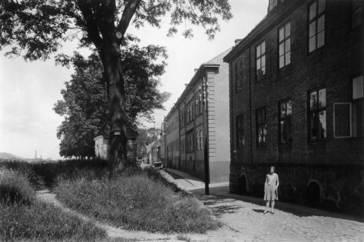 Hermann Christian Neupert, Gamlebyen i Fredrikstad. Grøntareale i forgrunnen med gate og husrekke. Kvinne foran et av husene. Biler i bakgrunnen.
