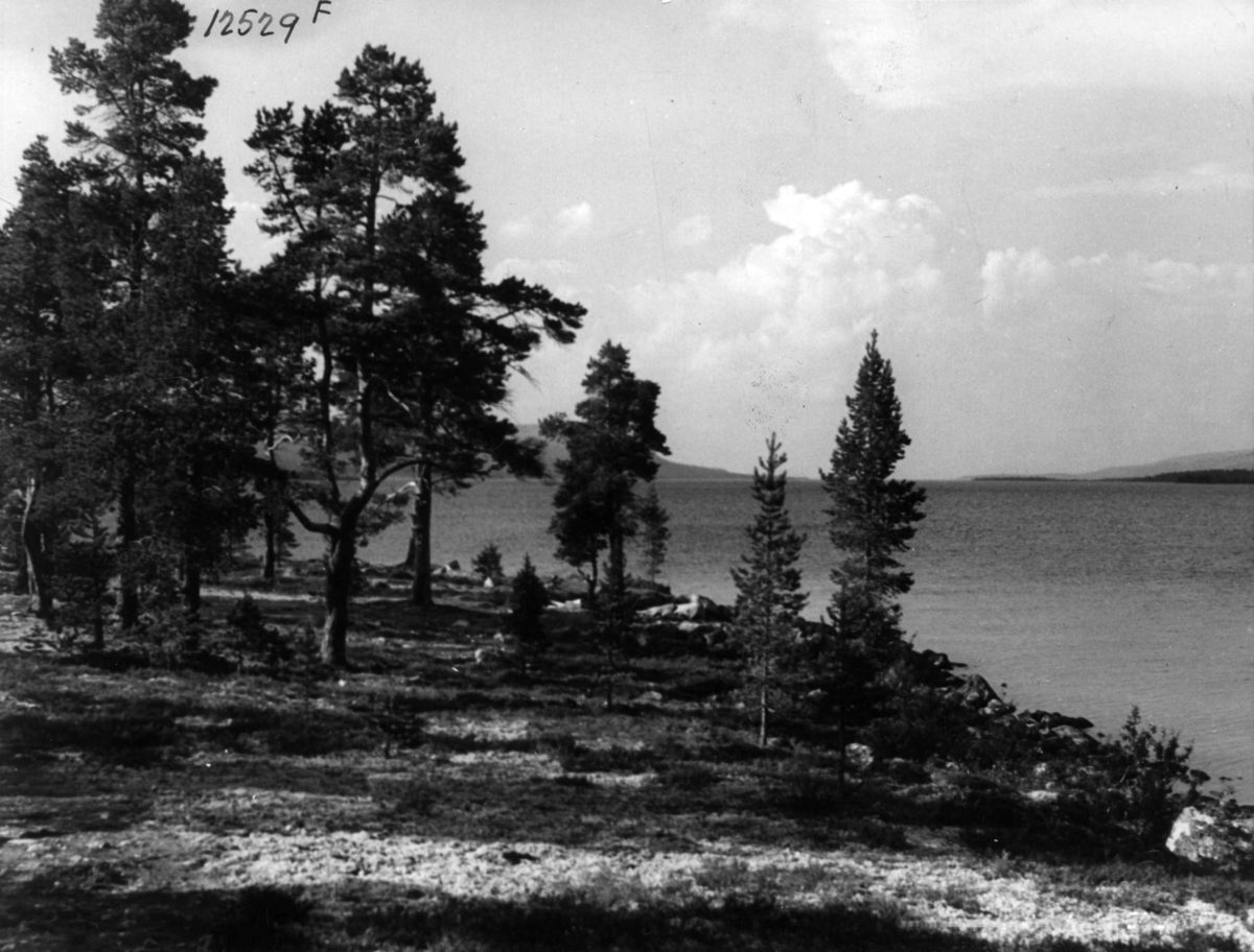 Anders Beer Wilse, Femundsjoen, Landskap