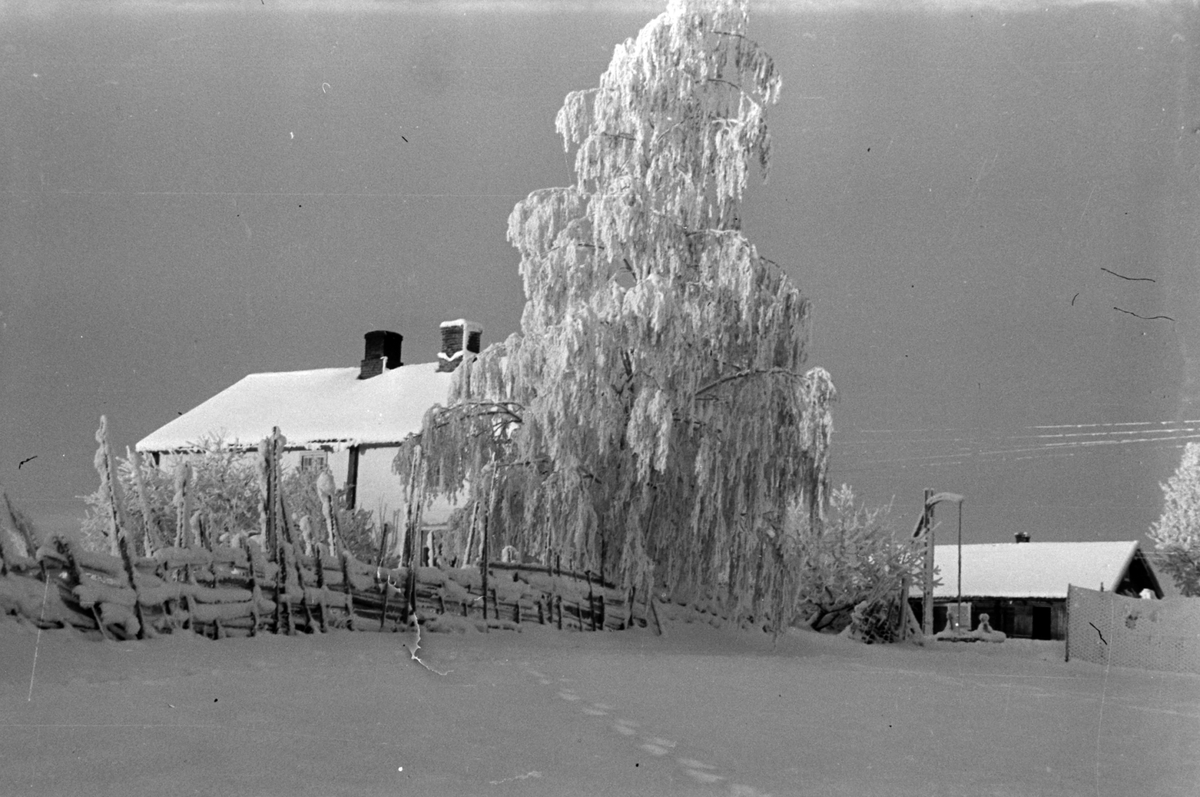 Adolf Skjegstad, VINTERSTEMNING, RIMFROST, UTHUS GÅRD, ROMEDAL.