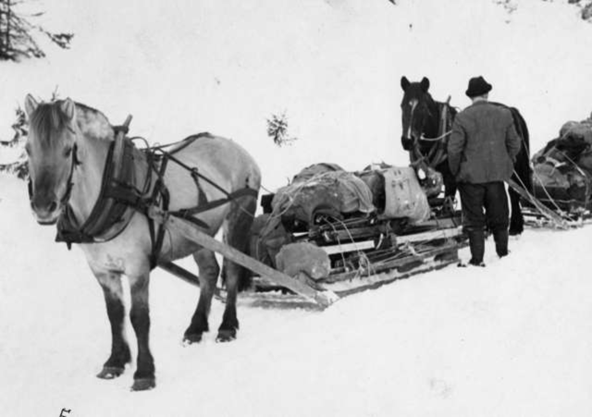 Anders Beer Wilse, Ved Fjellhvil Hotell