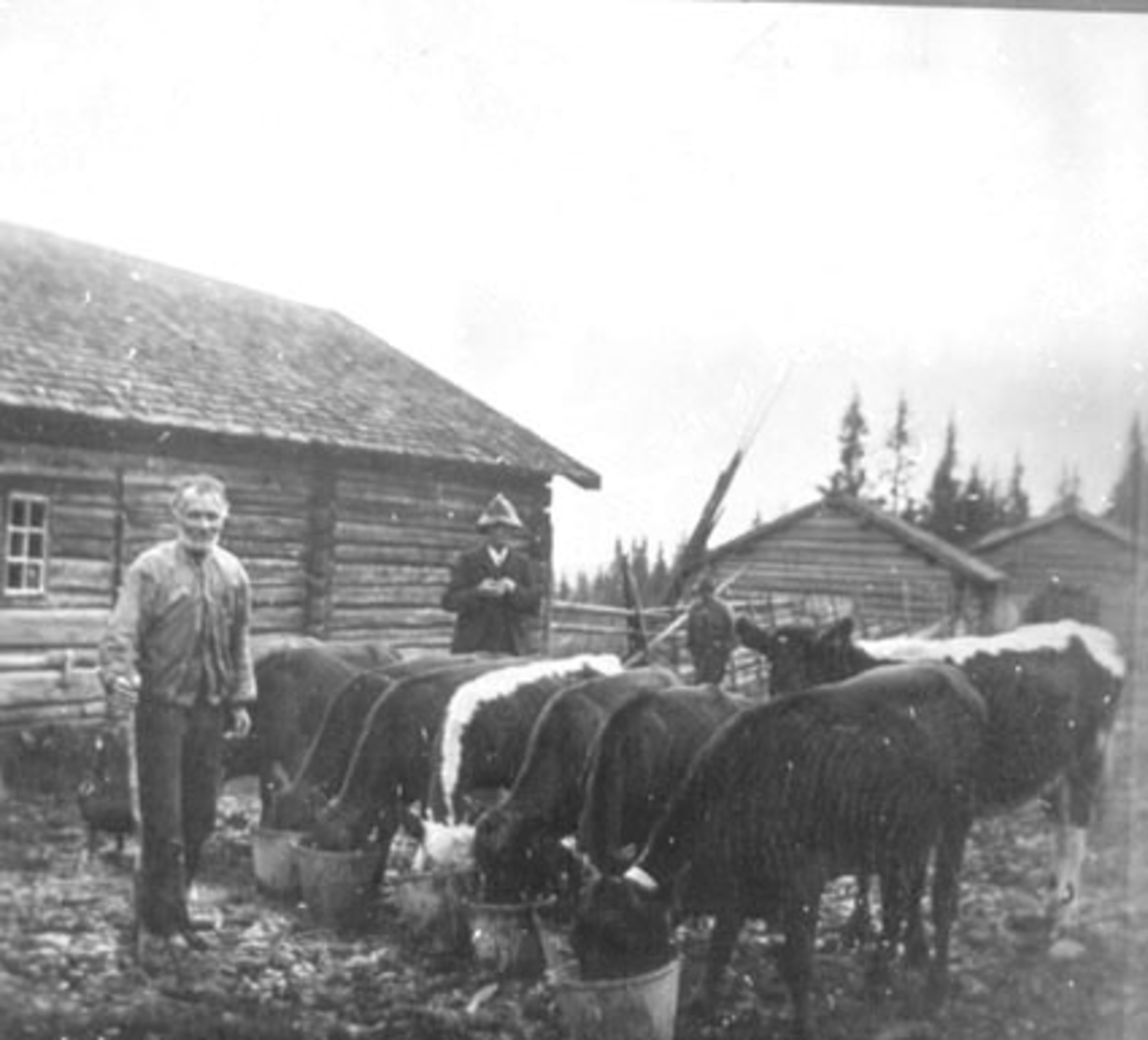 Anno Domkirkeodden, KUER FORES, KALVER DRUKKER VANN, SVEISER MARTINIUS ANDERSEN, BAK: SAKFØRER HALVOR ERIKSEN OG BERNT R. PAULSEN, BLEKUFJELLSETER, TRYSIL