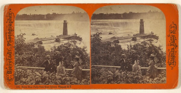 Charles Bierstadt, Horse Shoe Falls from Goat Island, Niagara, N.Y.