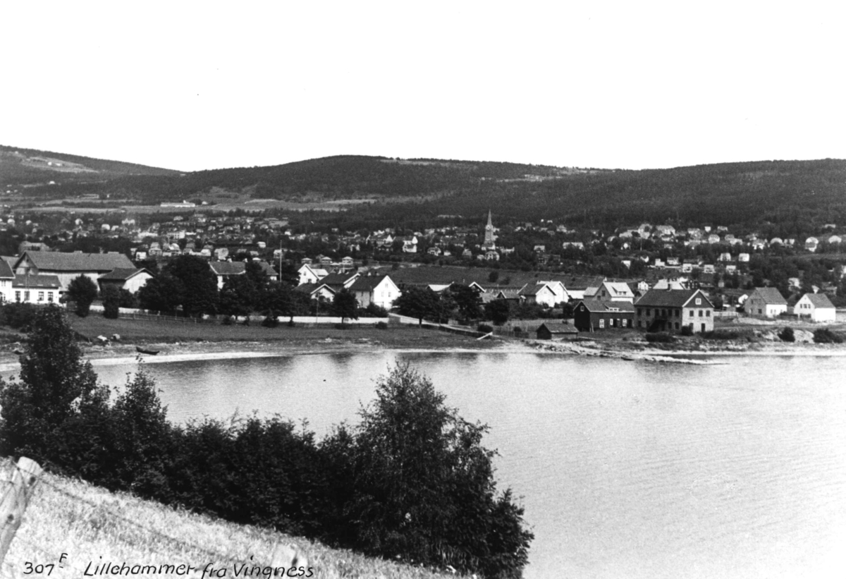 Anders Beer Wilse, Mjosa, Vingnes