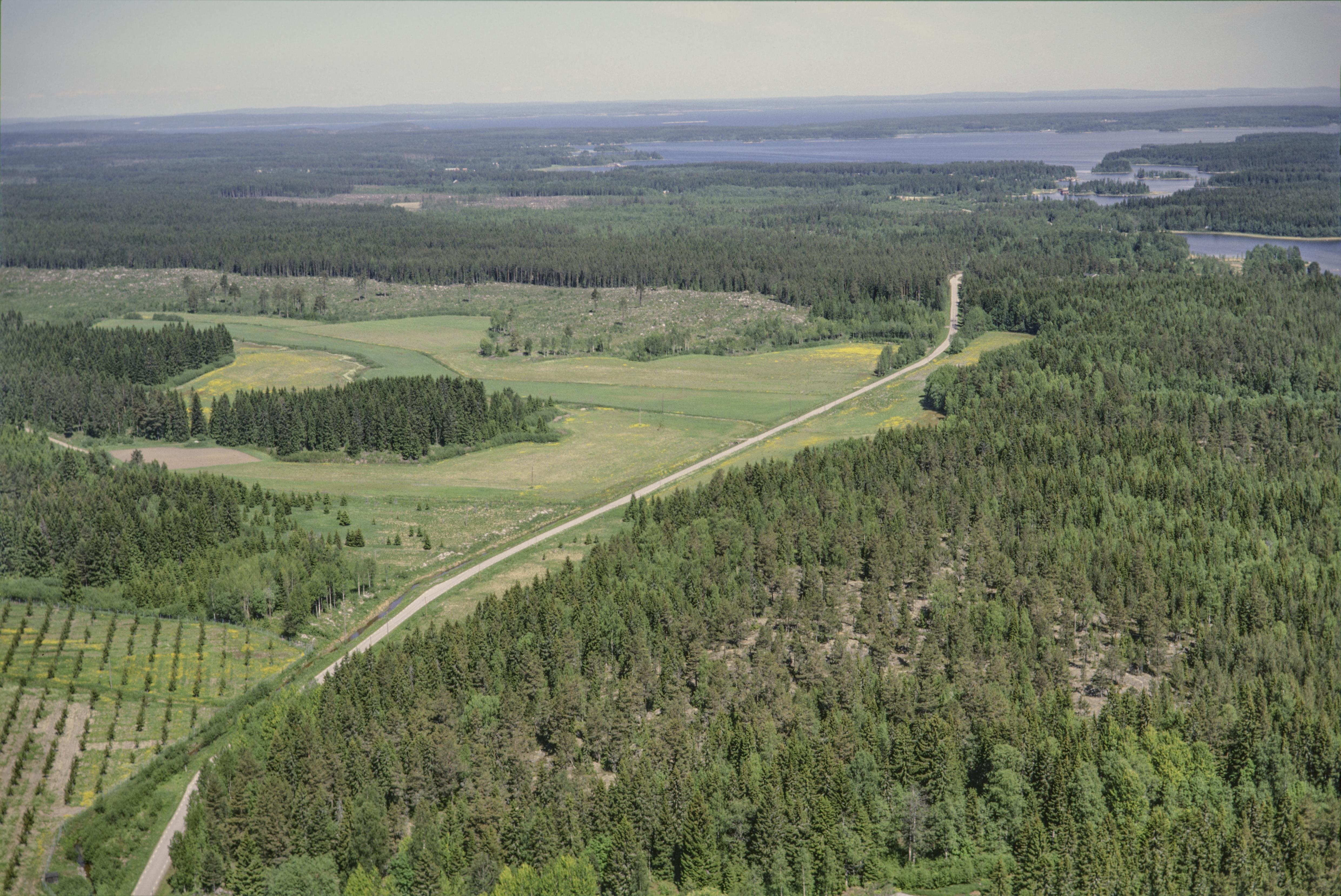 Jan Norrman, Njurunda 442:1