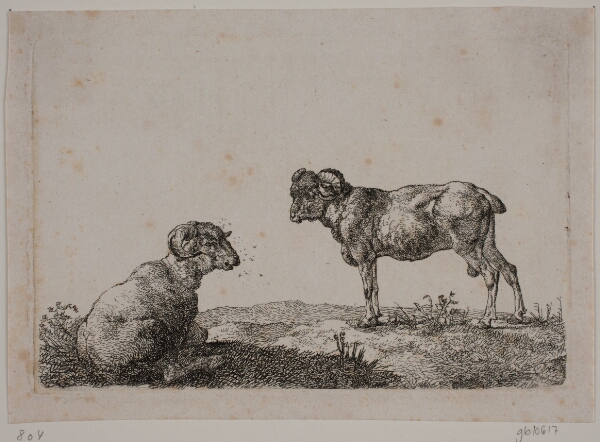Christian David Gebauer, To væddere