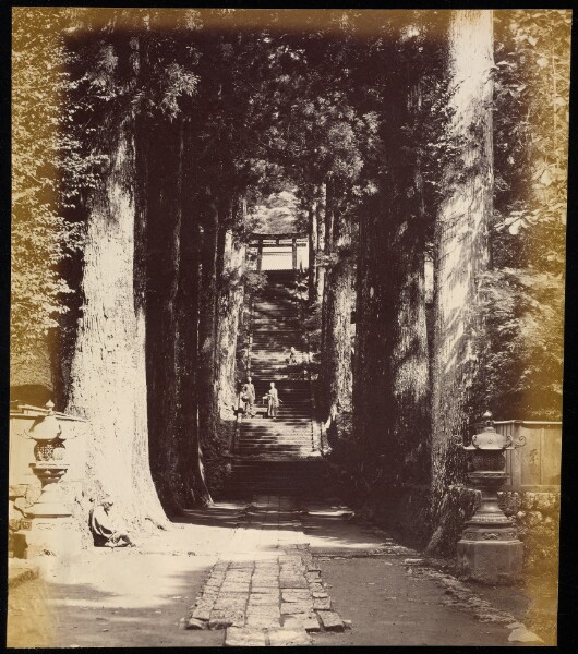 Felice Beato, [Avenue of Trees leading to a Temple in Hakoni]