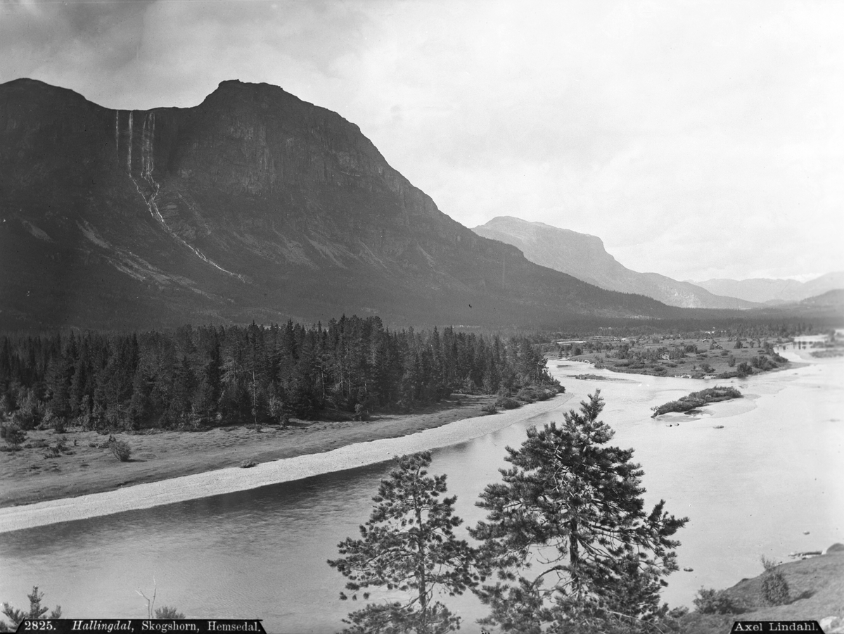 Axel Lindahl, "Prot: Hallingdal. Skogshorn Hemsedal (Delevis feil i protokoll)