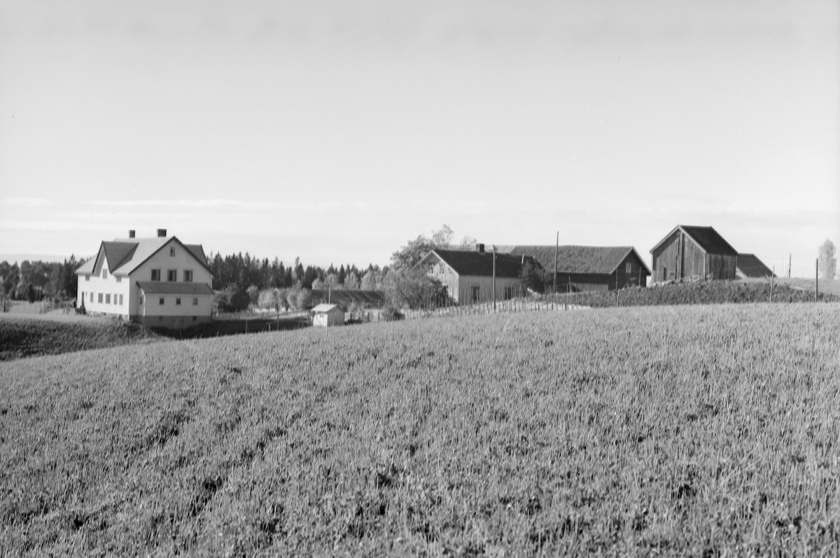 Anno Domkirkeodden, EKSTR: GARDSTUN, DOTTERUD, LØTEN. Se Løtenboka, bind 1. Bygdeboka fra 1949, side 672