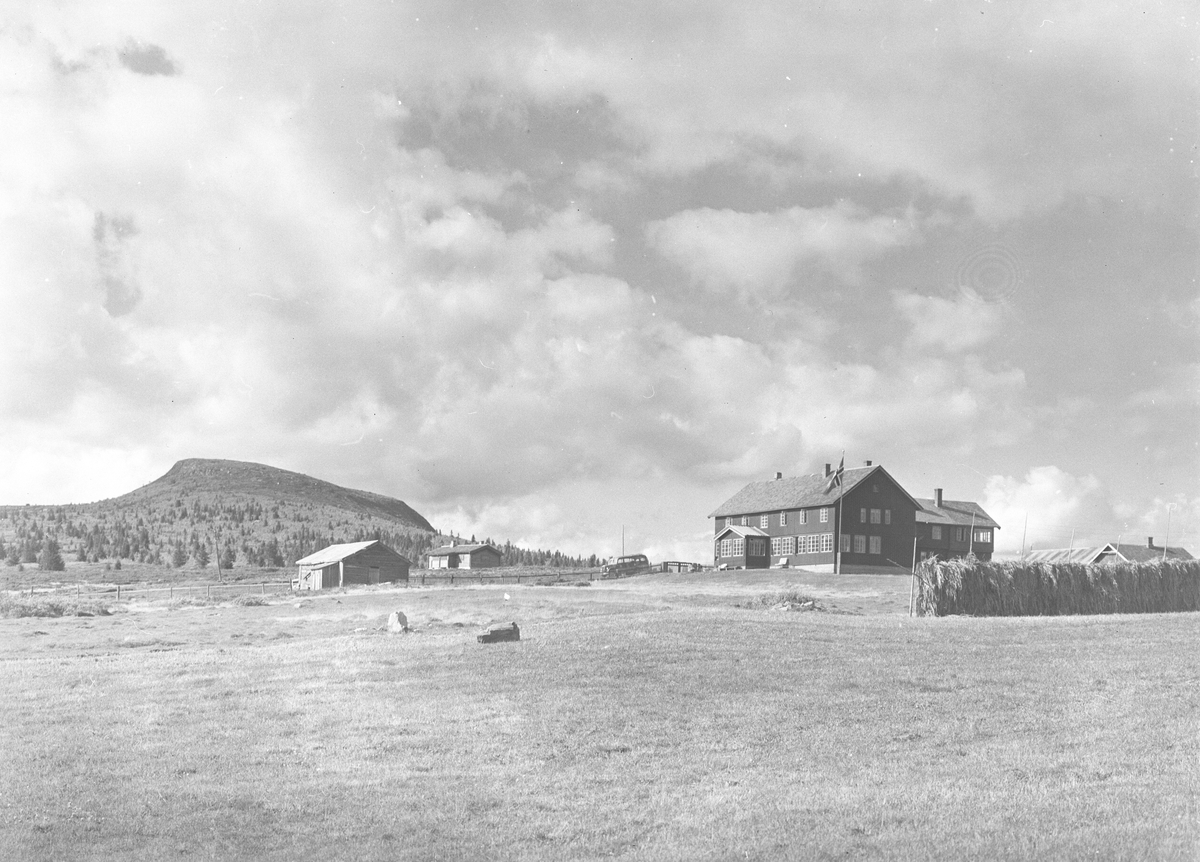 Anders Beer Wilse, Prot: Ørterstølen Hotel