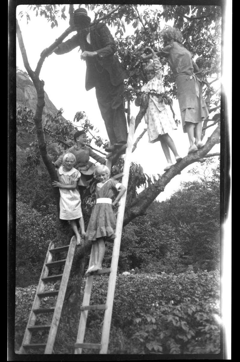 Rolf Sr. Sundt, Lars Peter Sundt med alpelue, står i et morelltre sammen med noen andre barn og en voksen, Herad. Fotografert 1936.