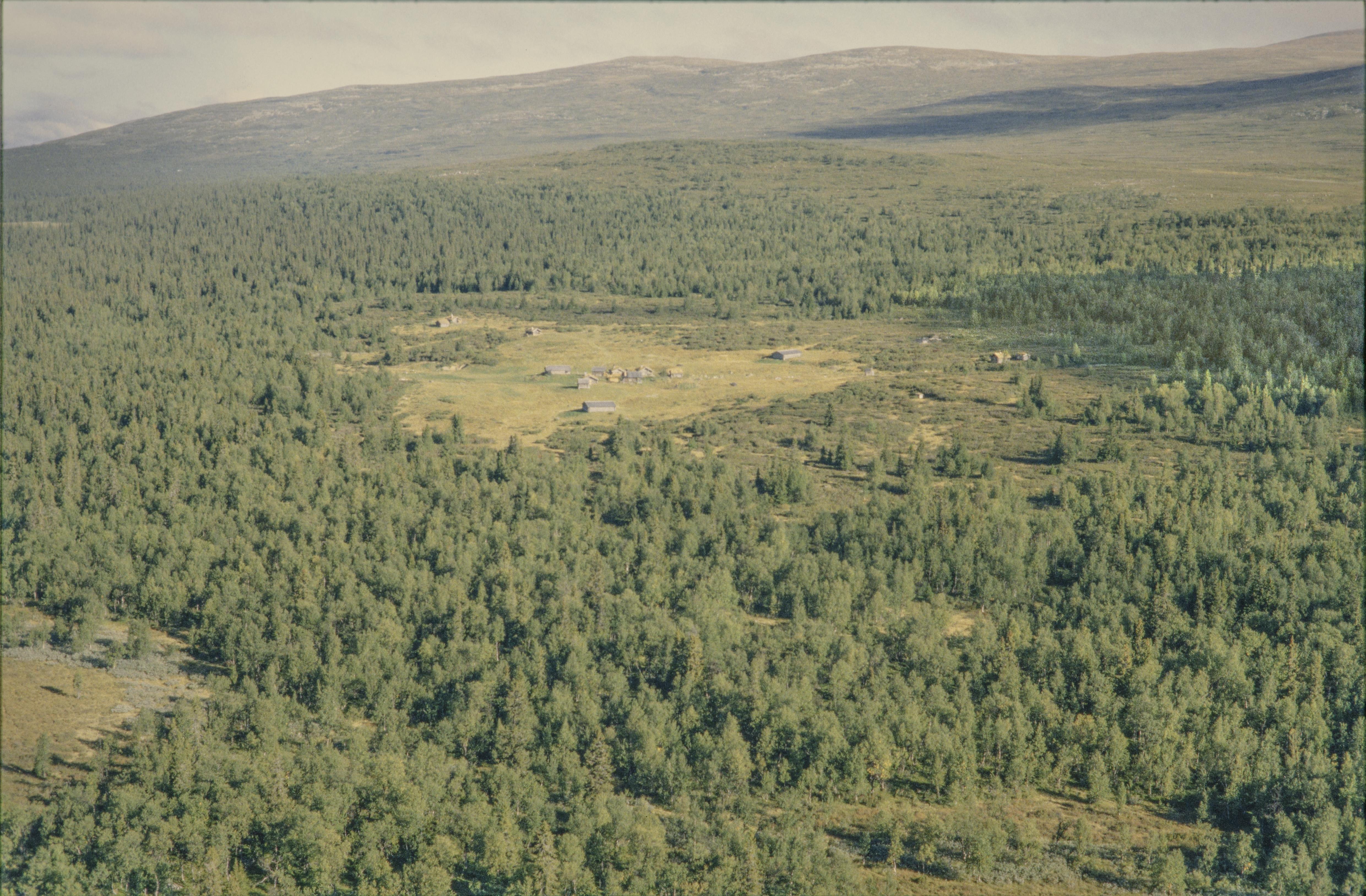 Jan Norrman, Öster-Arådalen