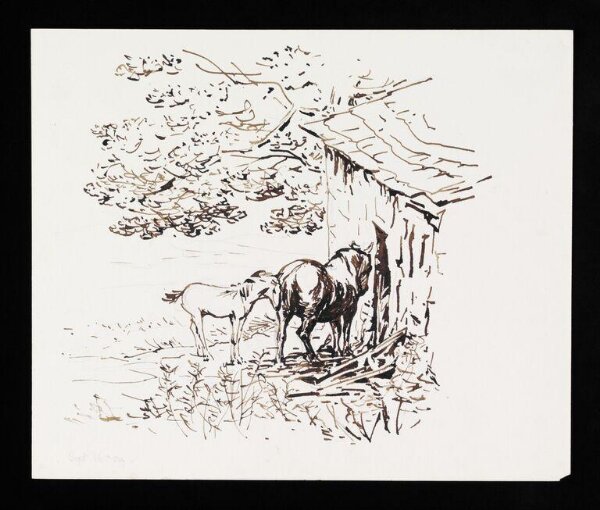 Potter, Beatrix, drawing