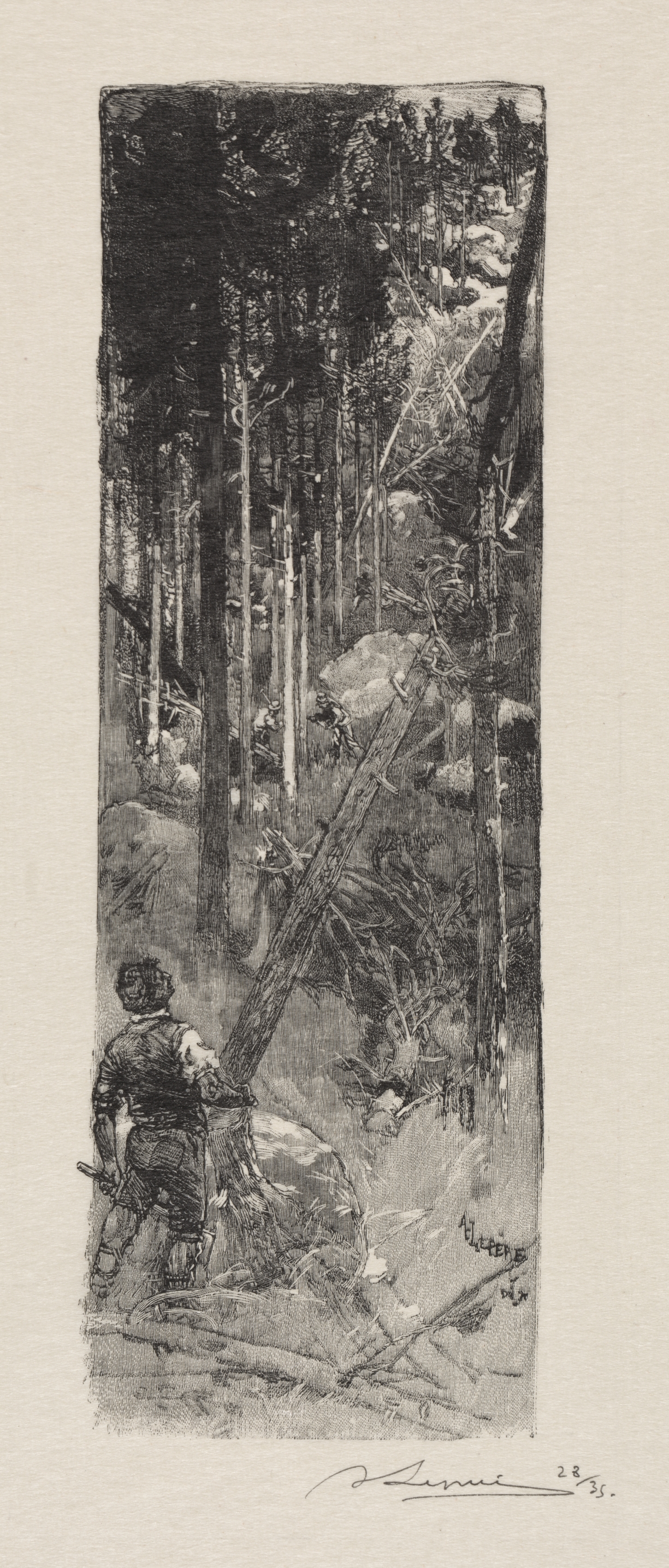 Auguste Louis Lepère, Abattage des Pins