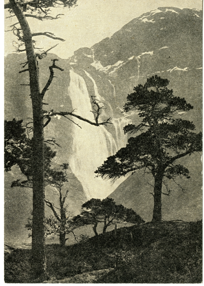 Anders Beer Wilse, Skjeggedalsfoss