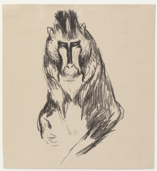 Edvard Munch, Mandril