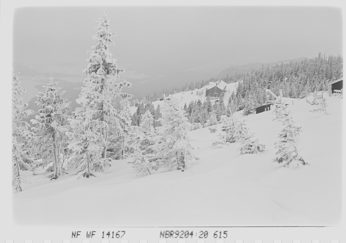 Anders Beer Wilse, Prot: Hotel Fjellhvil