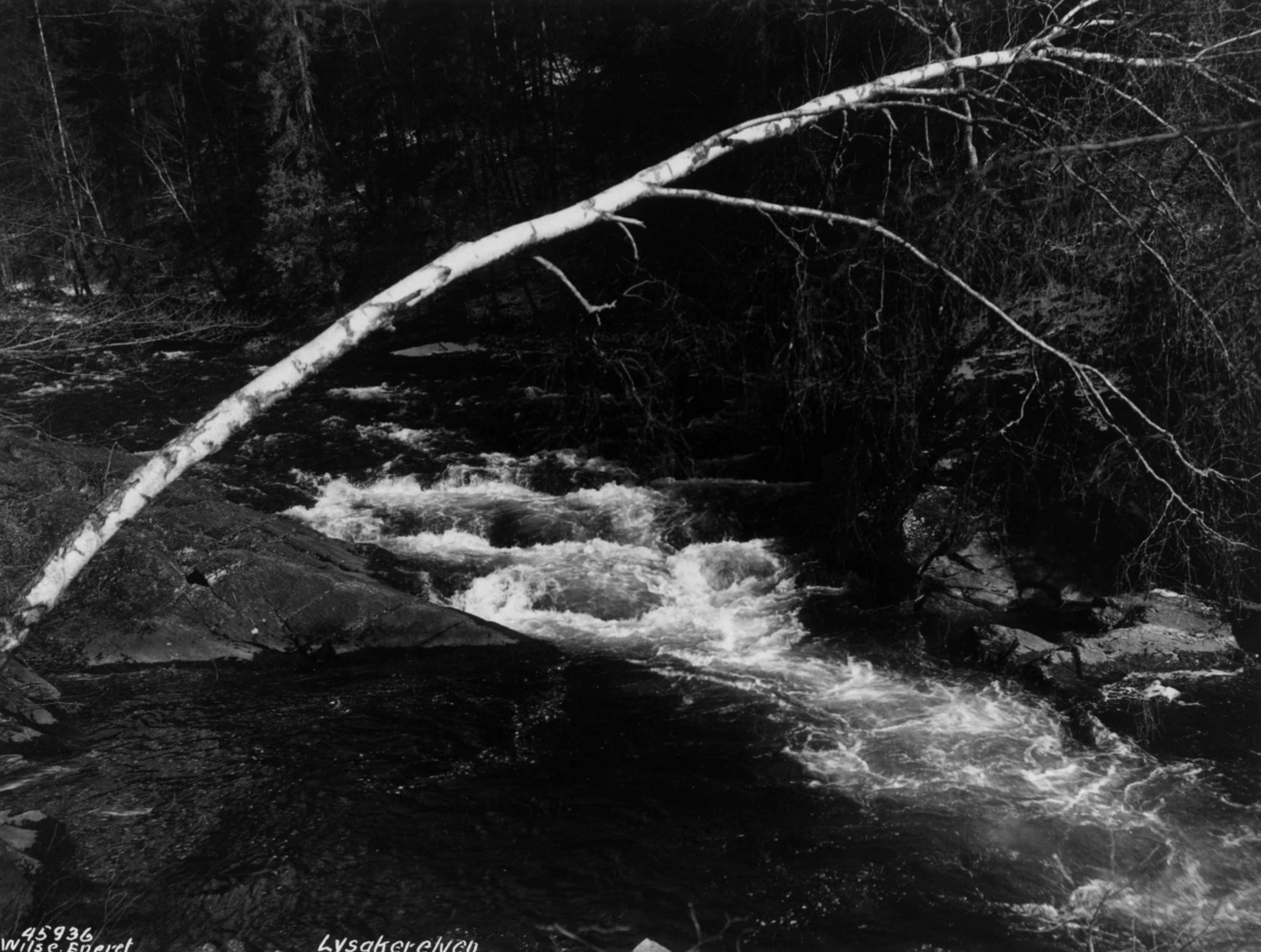 Anders Beer Wilse, Lysakerelva