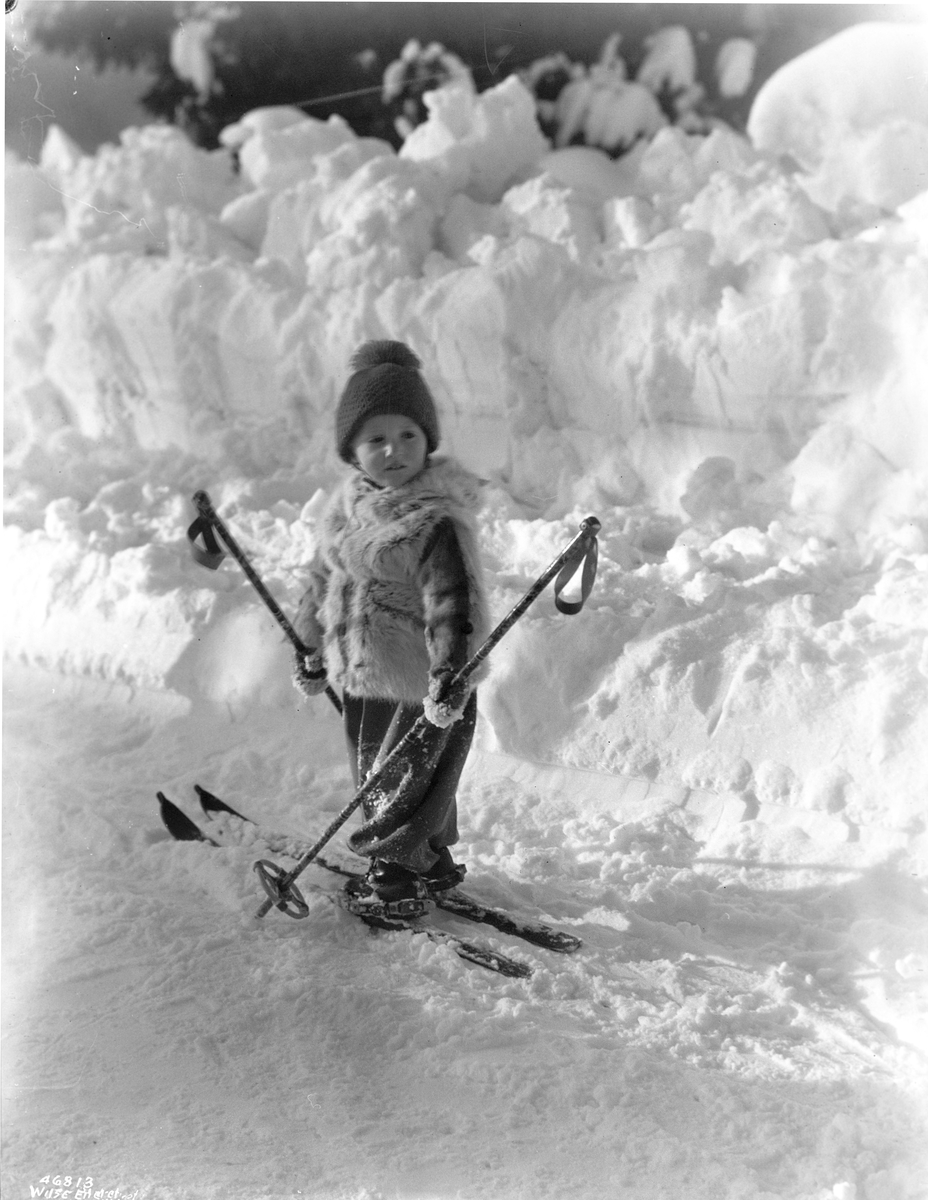 Anders Beer Wilse, Prot: Prins Harald på ski