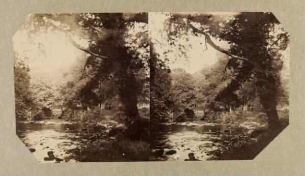 Clementina, Lady Hawarden, Photograph