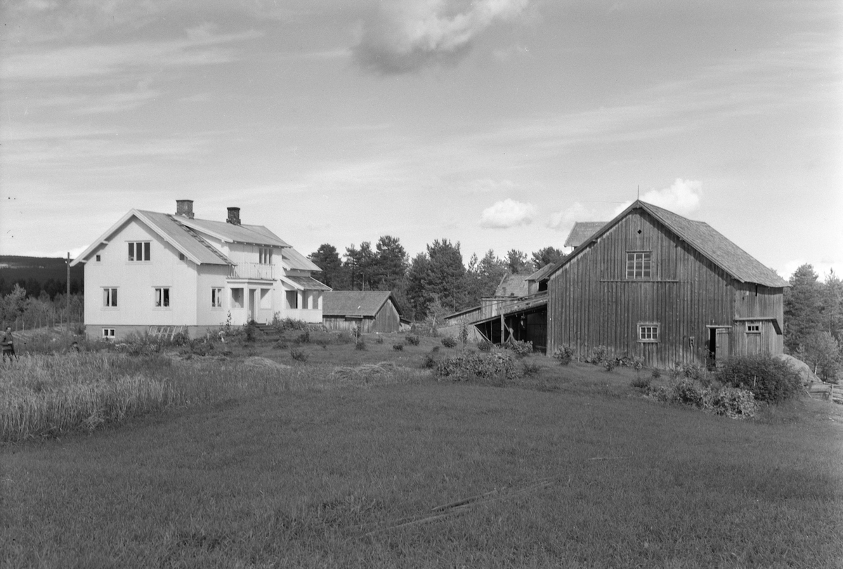 Anno Domkirkeodden, EKSTR: GARDSTUN, STUENRISENGSTUEN, LØTEN. Se Løtenboka, bind 2. Bygdeboka fra 1953, side 211