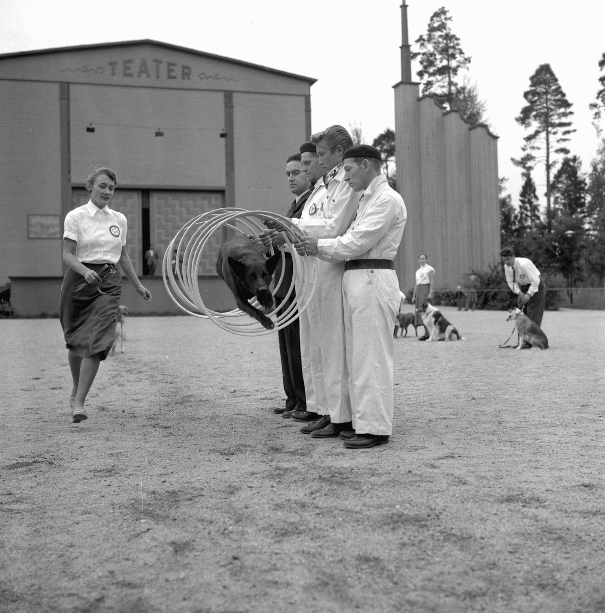 Örebro Kuriren, Hundutställning i Folkparken. 27 september 1955.