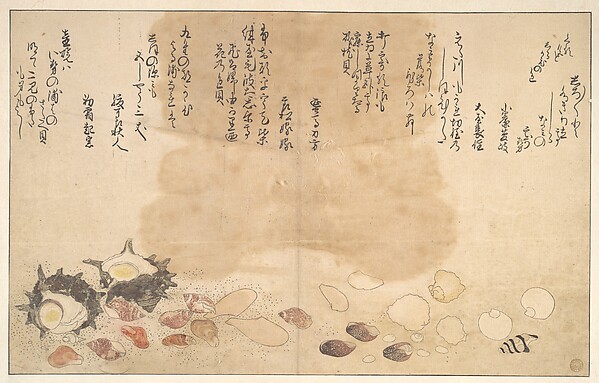 Kitagawa Utamaro, Shells under Water