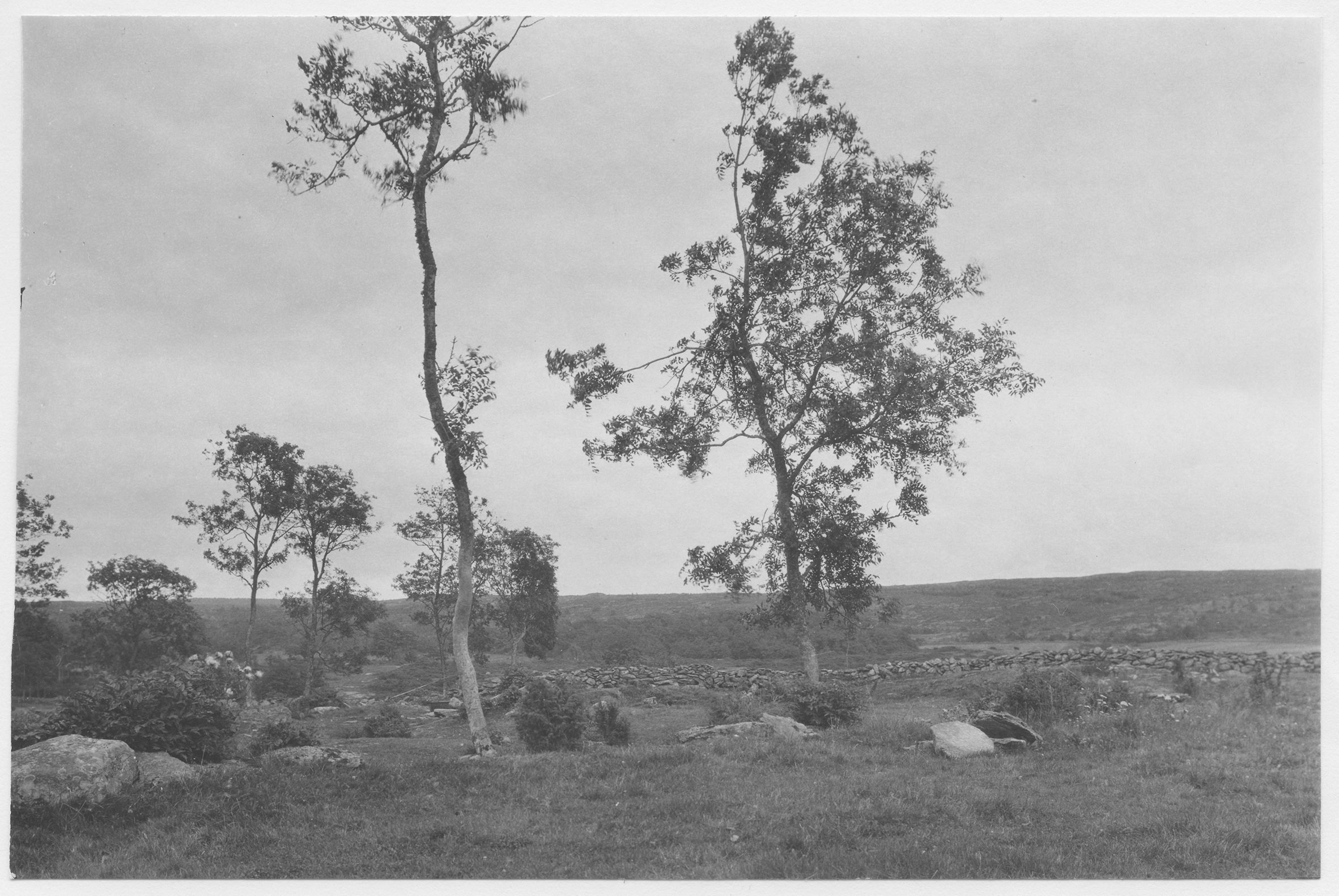 Mårten Sjöbeck, Värö