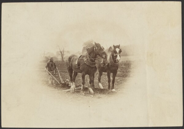 Unknown, [Plowhorses]