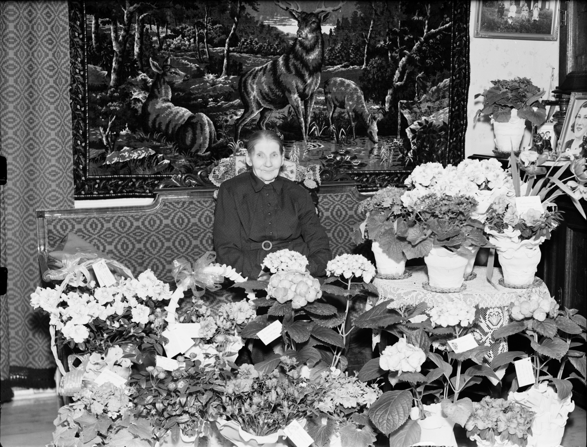 Skötsner-Edhlund, Kvinna i hemmiljö omgiven av blommor, Östhammar, Uppland,