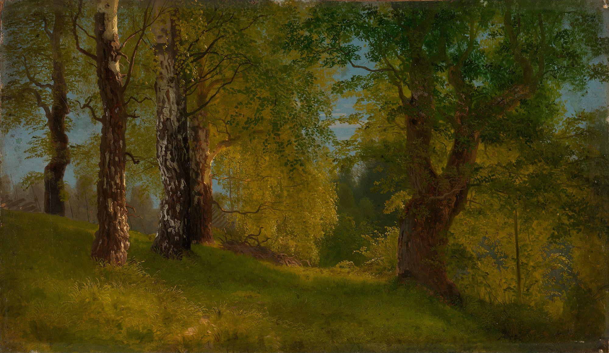 August Cappelen, Study of a Wood
