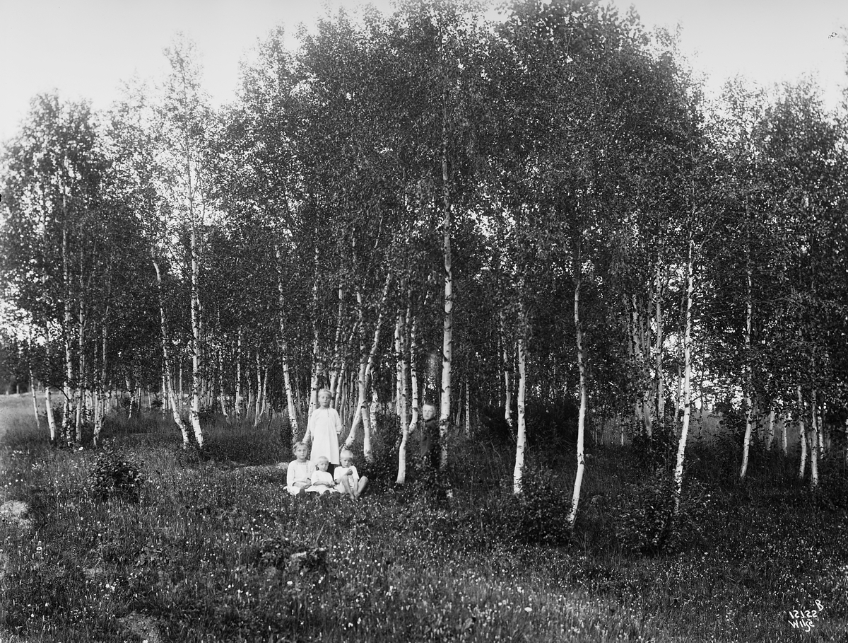 Anders Beer Wilse, Konv: Wulfsberg/Birkelunden