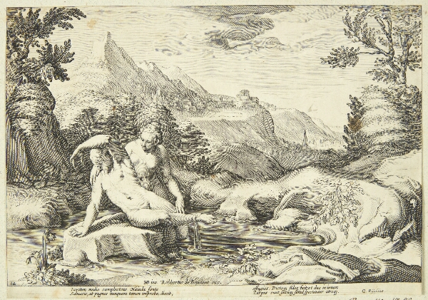 Hendrick Goltzius, Salmakis og Hermafroditos