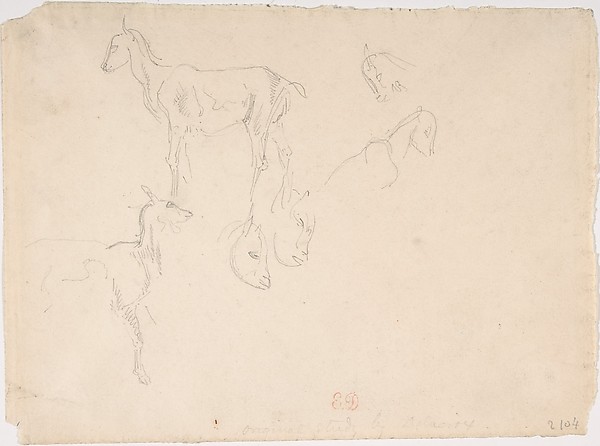Eugène Delacroix, Studies of a Goat