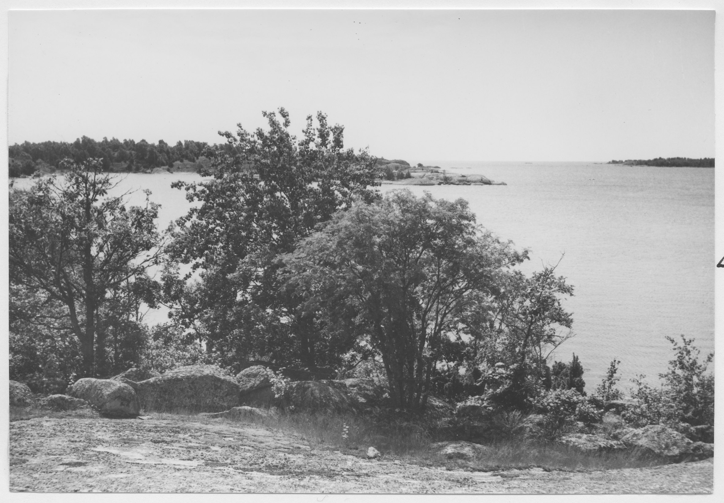 Mårten Sjöbeck, Tjärö