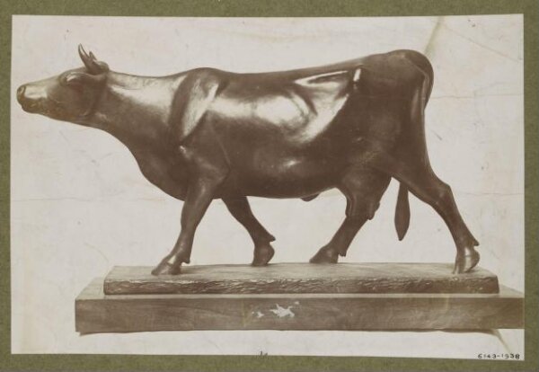 unknown, Photograph