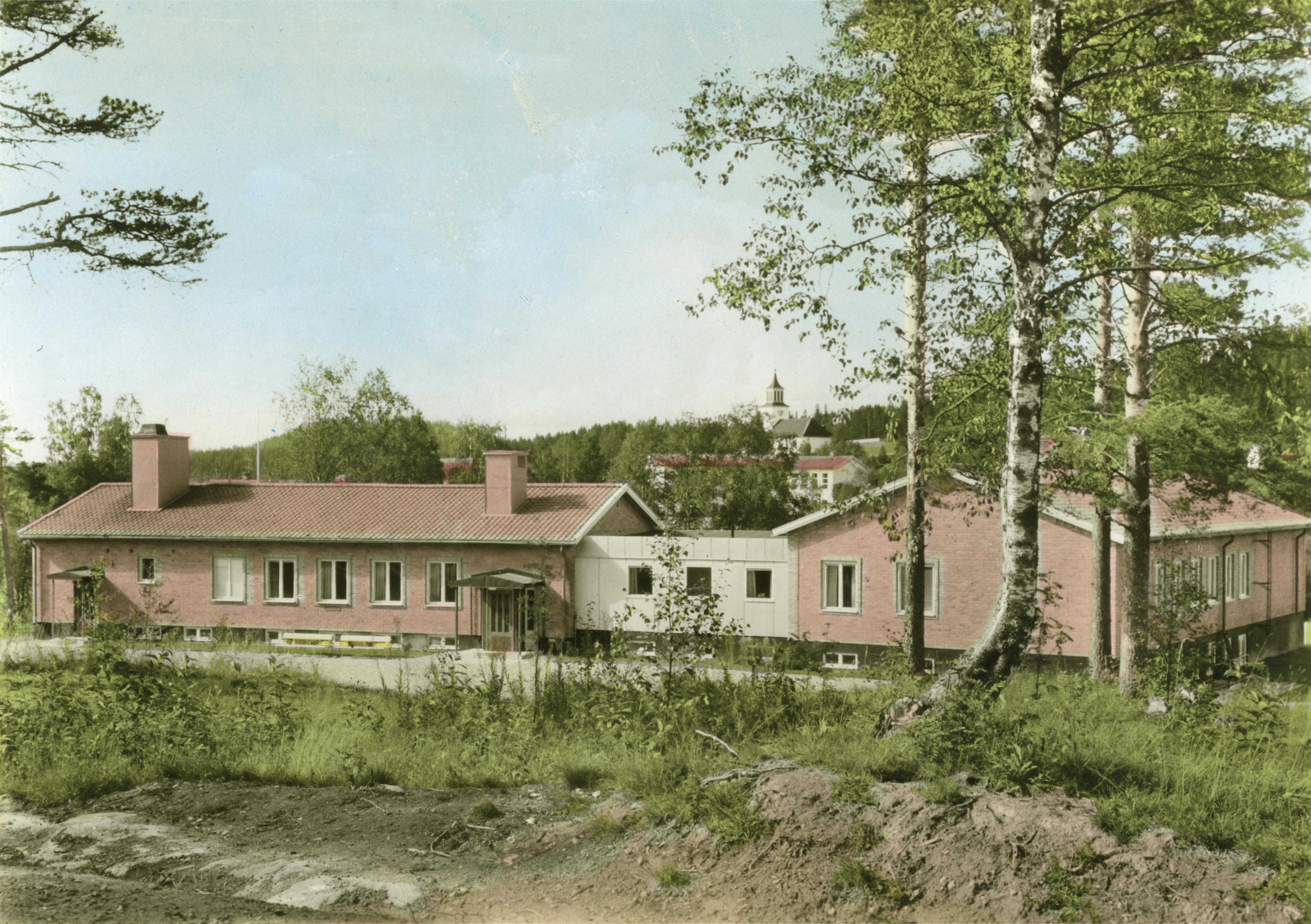 Okänd Okänd, Dorotea